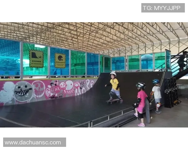 专访刘静：解密滑板成功之道